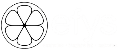 EFYS